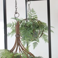 ÐÐ°ÑÑÐ¸Ð½ÐºÐ¸ Ð¿Ð¾ Ð·Ð°Ð¿ÑÐ¾ÑÑ indoor hanging plant baskets