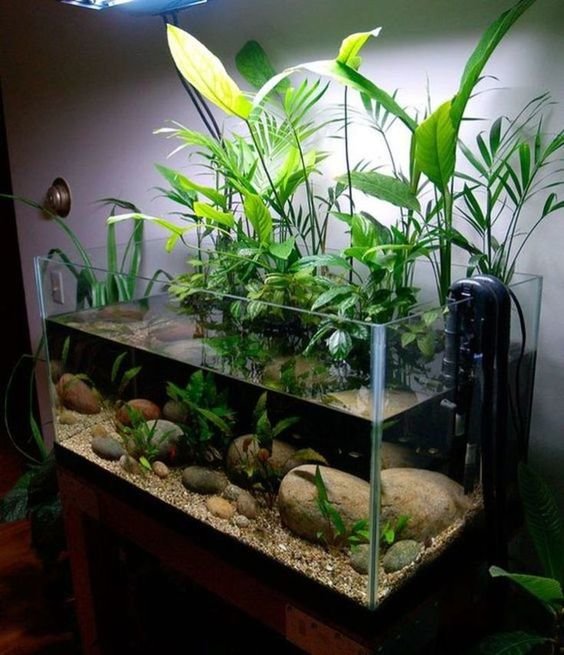 Картинки по запросу aquarium designs