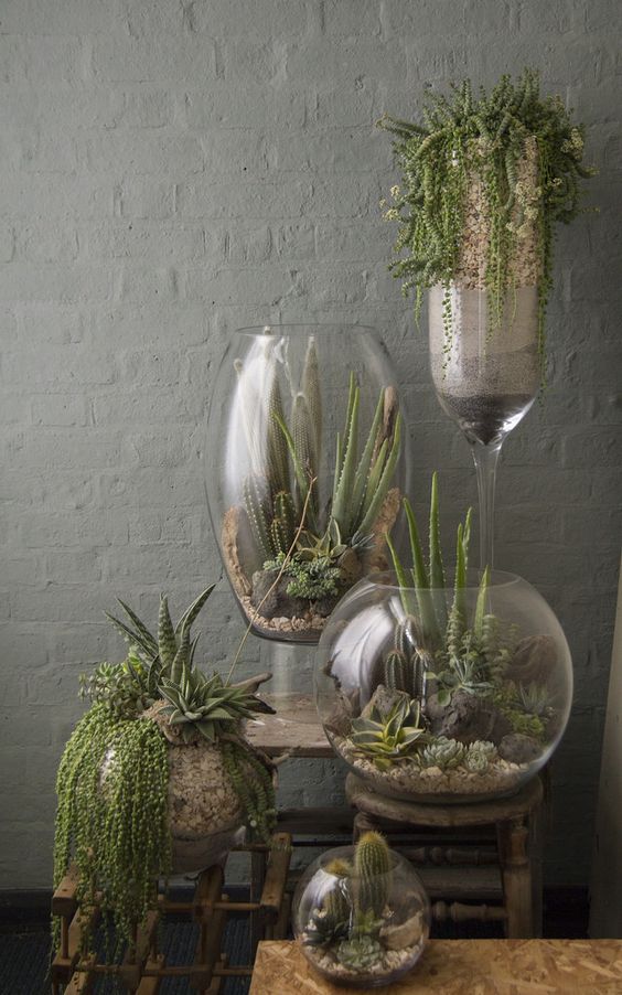 What about having terrariums on your tables? We could add a few shells/star fish etc