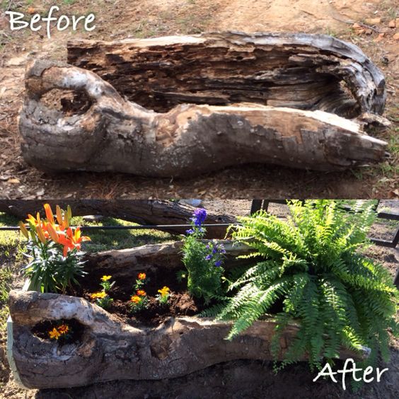 Log planter