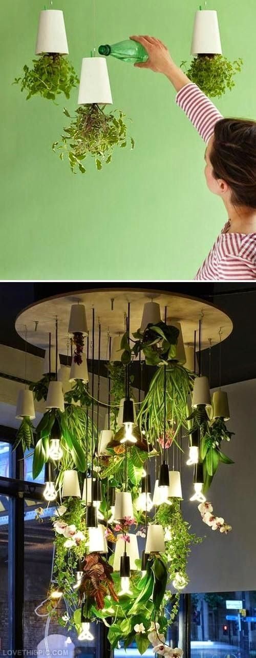 Amazing DIY Indoor Herbs Garden Idea