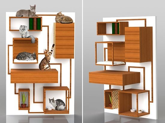 4e9a21bd4b49e842f689553725e5503e--cat-climbing-wall-cat-shelves.jpg