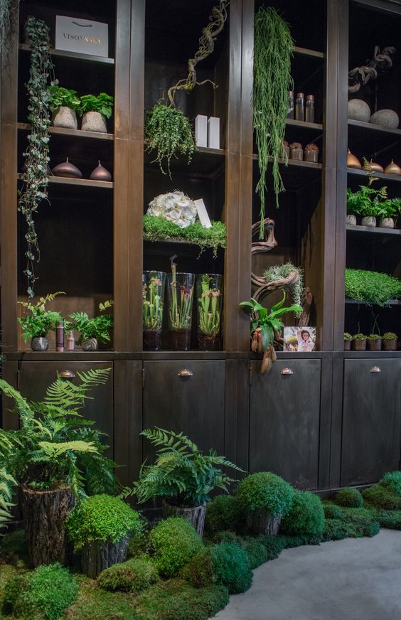 i know its not that practical to plant your herbs inside these cupboards, but still its just another side of creativity that adds beauty.