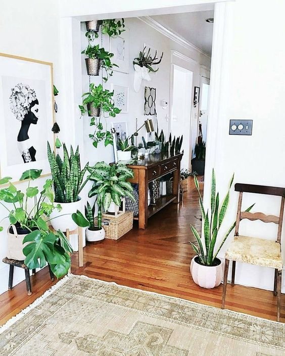 The Downside Risk of Easy Houseplants for Indoor House Ideas If you opt to sell your house, a door which requires regular maintenance in addition to b...