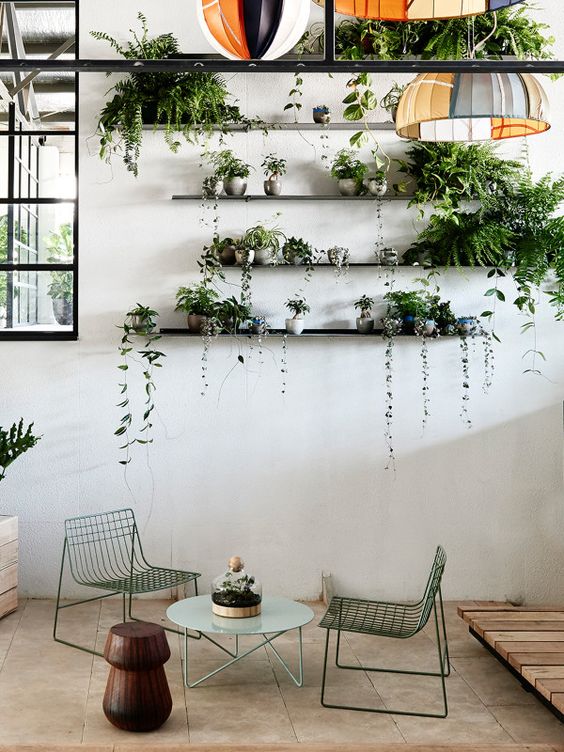 Vertical garden displayed on thin steel shelves at The Design Files Open House 2014. The plant selection, curated by Loose Leaf with Georgina Reid of The Planthunter, includes hoyas, string of hearts, devils ivy and various ferns.  Photo â Eve Wilson for The Design Files.