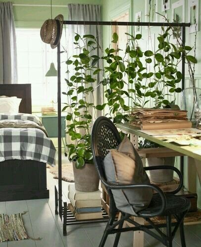Urban jungle interieur idee: hang geen kleren aan een kledingrek, maar planten! Zo creÃ«er je een tropische scheidingswand, die ook nog een fotogeniek is!
