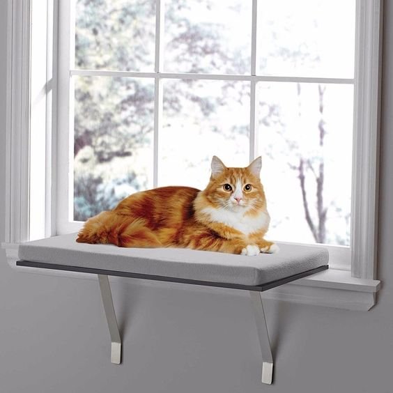 Deluxe Pet Cat Window Perch Seat Bed Kitty Shelf Mounted Hanging Sleep Cushion | Pet Supplies, Cat Supplies, Beds | eBay!