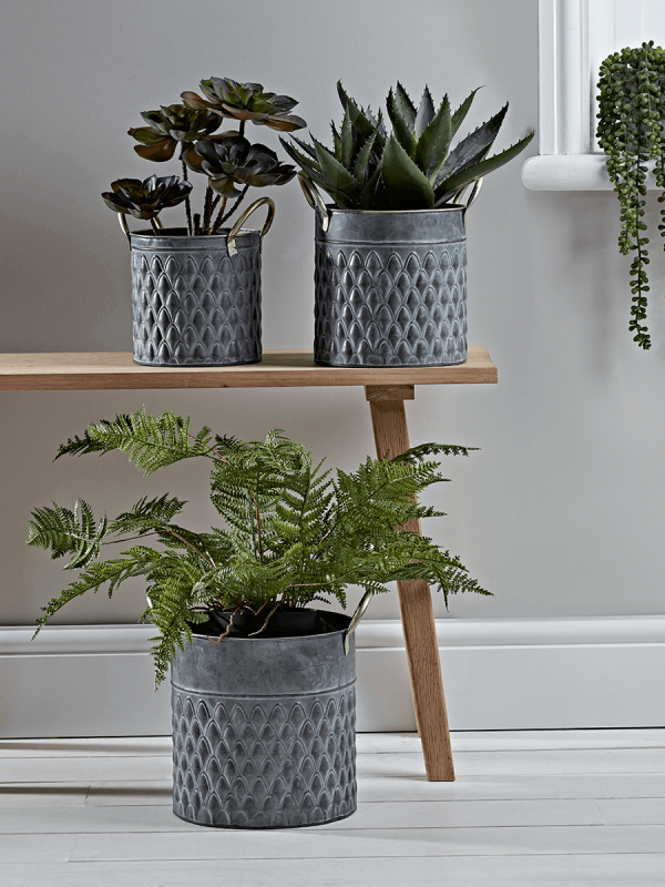 ÐÐ°ÑÑÐ¸Ð½ÐºÐ¸ Ð¿Ð¾ Ð·Ð°Ð¿ÑÐ¾ÑÑ indoor hanging plant baskets