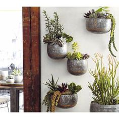 Roost Braza Indoor/Outdoor Wall Planters by Roost