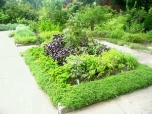 dazzling-herb-garden-designs-design-simp