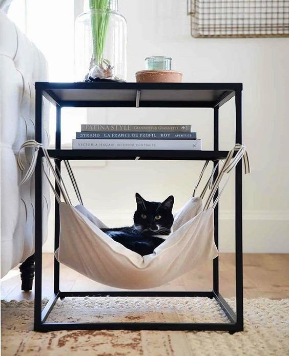 Olha a ideia para os #gatinhos  #gatos #pet  from @joy.in.organizing   Photo: @boxwoodavenue