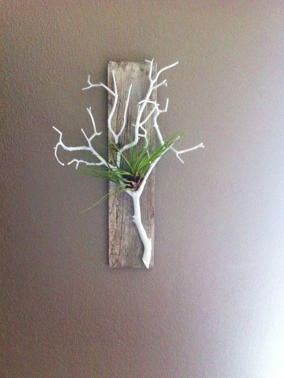 Gray Stained Barn Wood, with Coral White Branch, Air Plant Holder and Wall Hanging