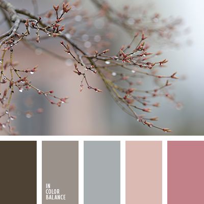 f2f8883dfa47972d3778136b70fcd63e--grey-color-palettes-colour-schemes.jpg