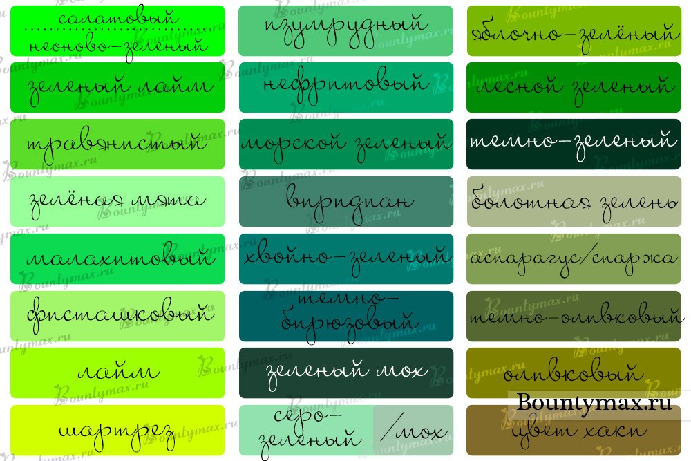 Все оттенки зеленого с названиями в одежде