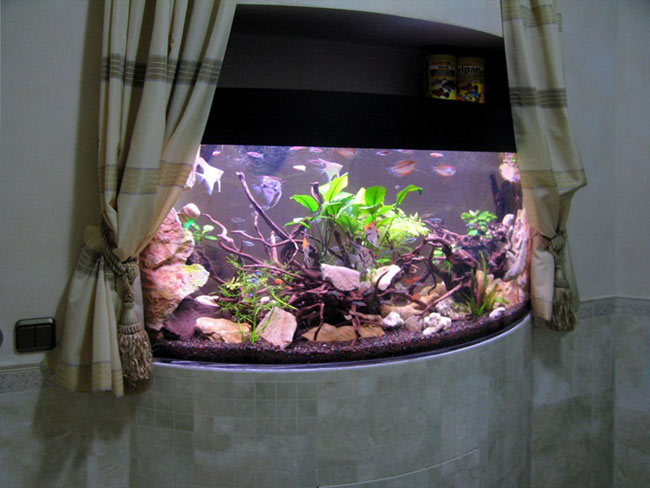 Сухой аквариум в интерьере своими руками (54 фото) - красивые картинки и HD фото