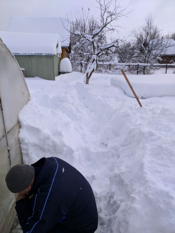 ЗД в замкадье (строим/обустраиваемся )  1