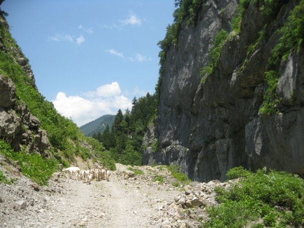 Авантюристы в Абхазии или стройка на грани финансовых возможностей-3
