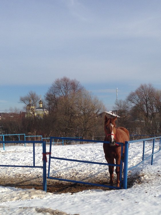 Финские мотивы в Новой Москве-3