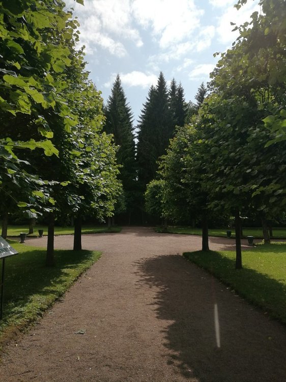 Деревня в городе: переделка вторички-6