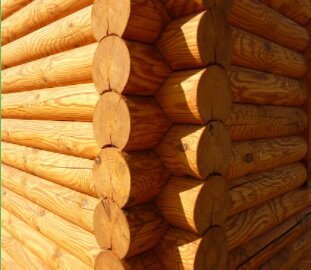 Антисептики, отбеливатели и огнезащитные материалы для древесины